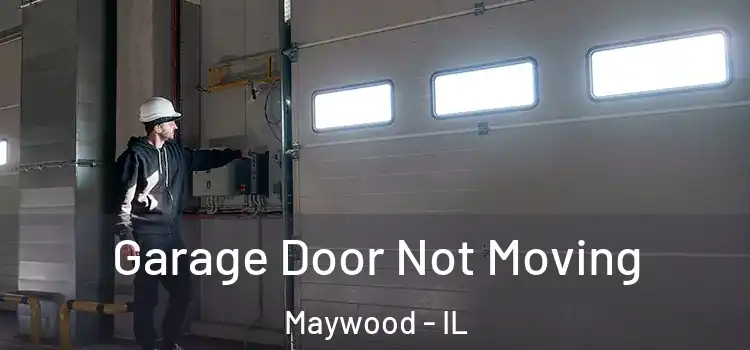  Garage Door Not Moving Maywood - IL