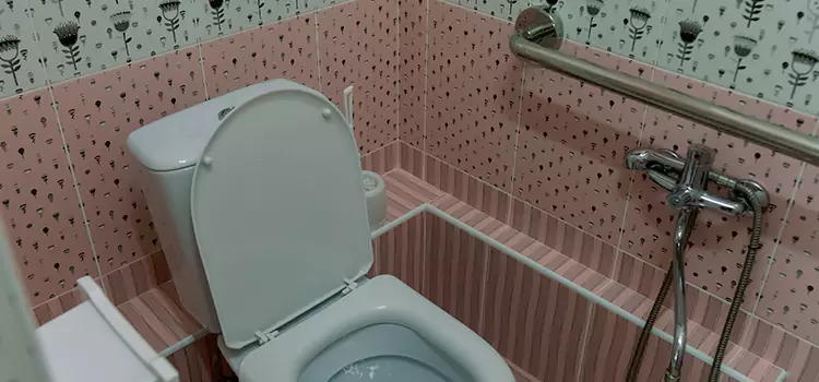 Meeting Diverse Needs With Accessible Restroom Solutions in Maywood, IL
