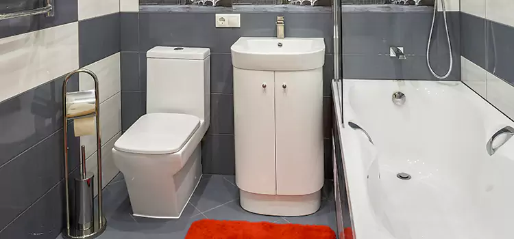 Hansgrohe Shaving Mirror Maywood